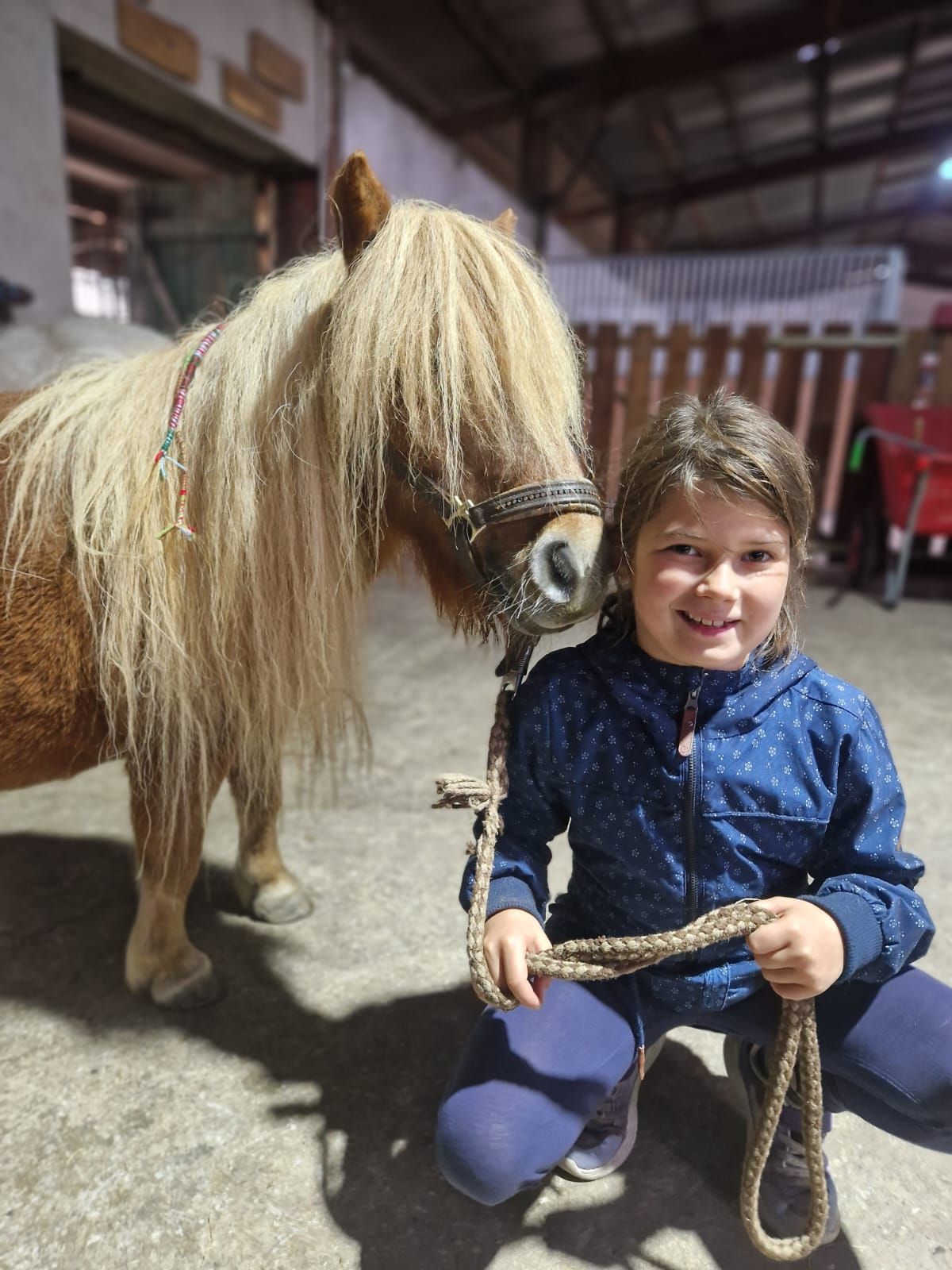 Ein kleines Mädchen kniet neben einem Pony.