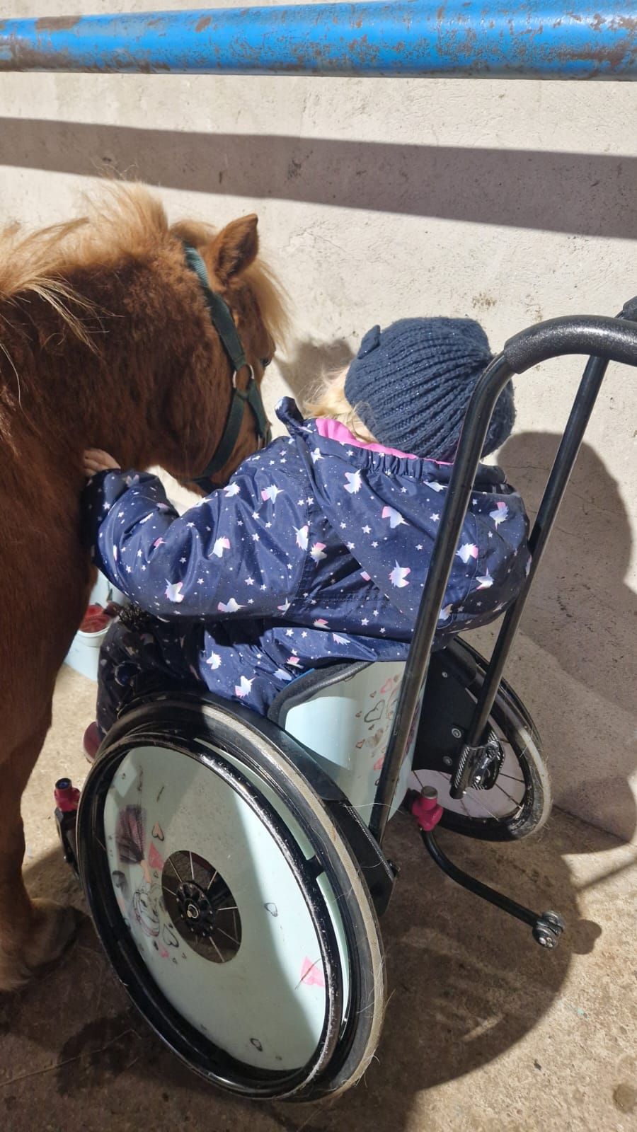 Ein kleines Mädchen im Rollstuhl streichelt ein Pony.