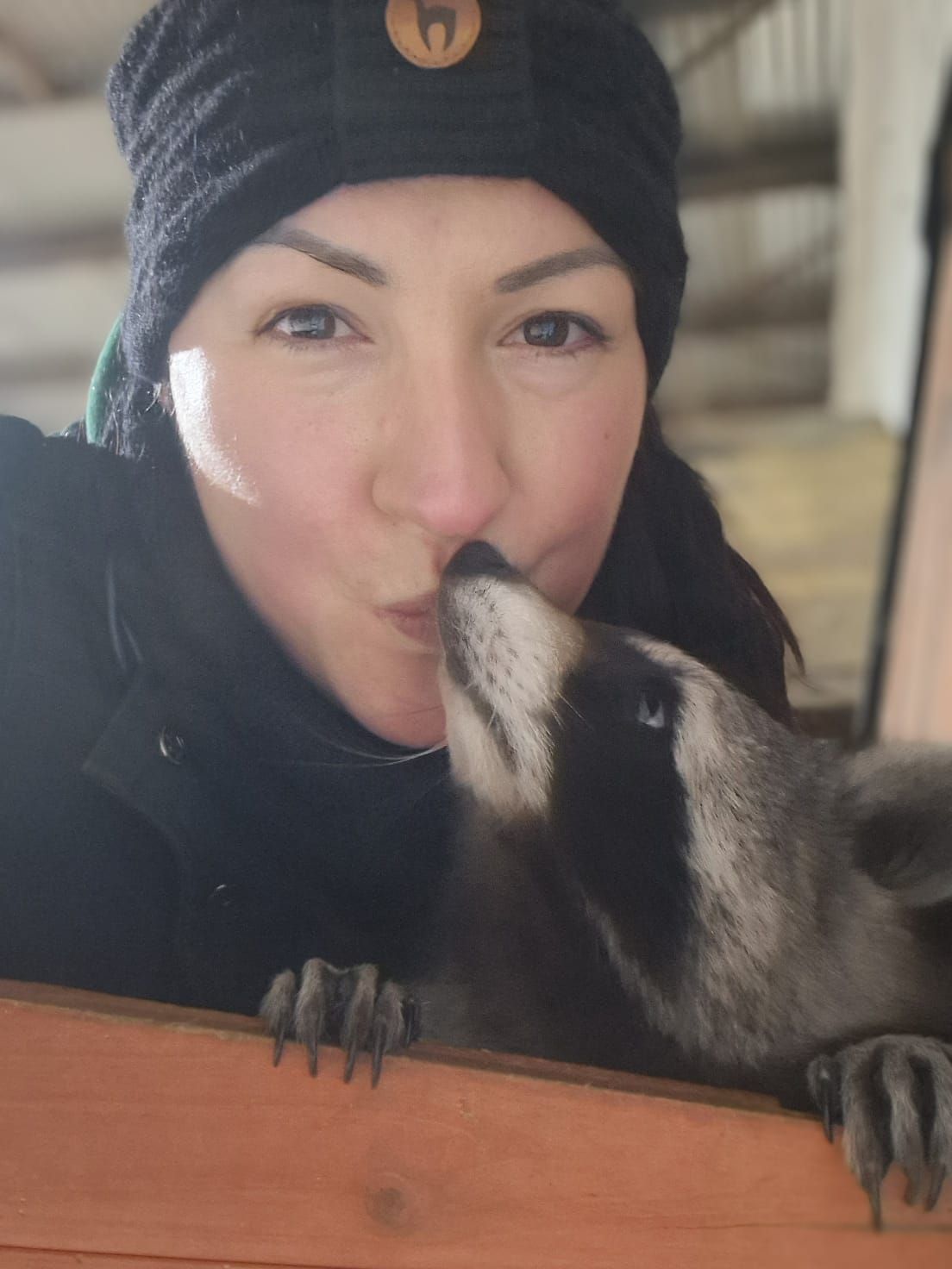 Eine Frau küsst einen Waschbären auf die Nase.