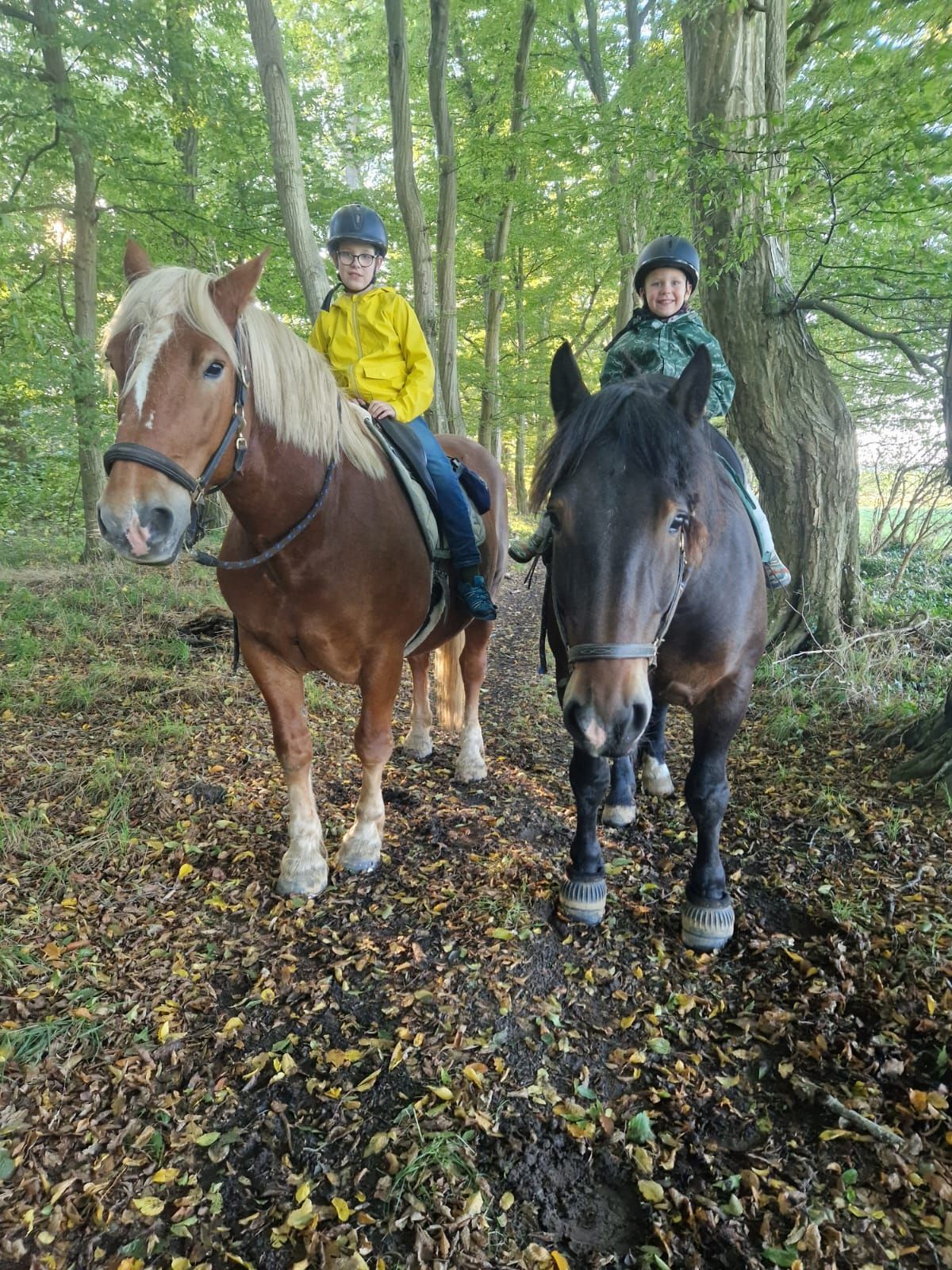 Zwei Kinder reiten im Wald.