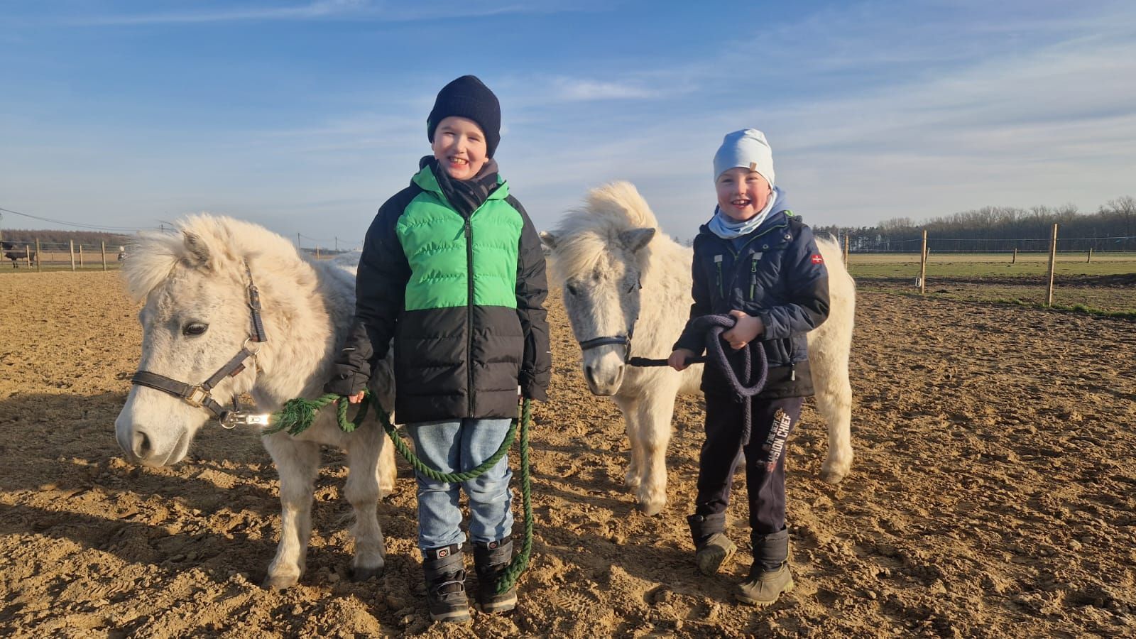 Zwei kleine Jungen stehen neben zwei weißen Pferden auf einem Feld.
