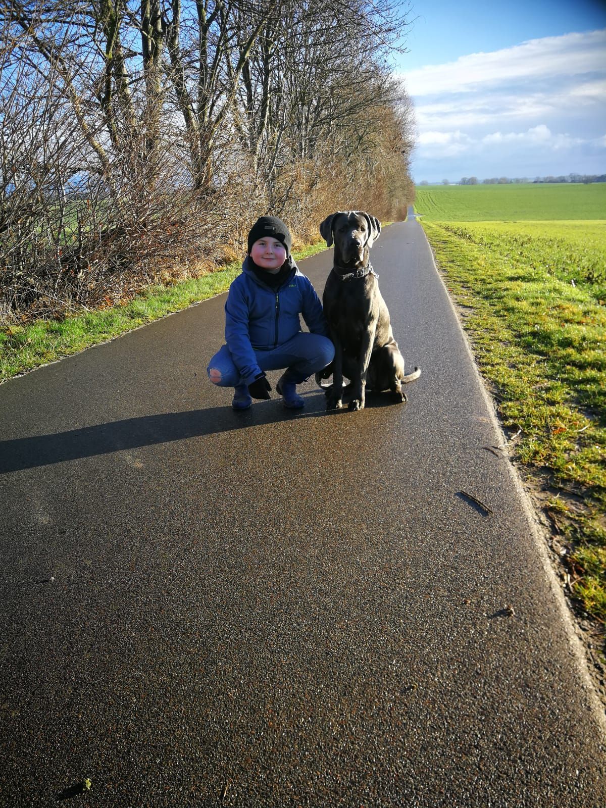 Eine Frau kniet neben einem Hund auf einer Straße.