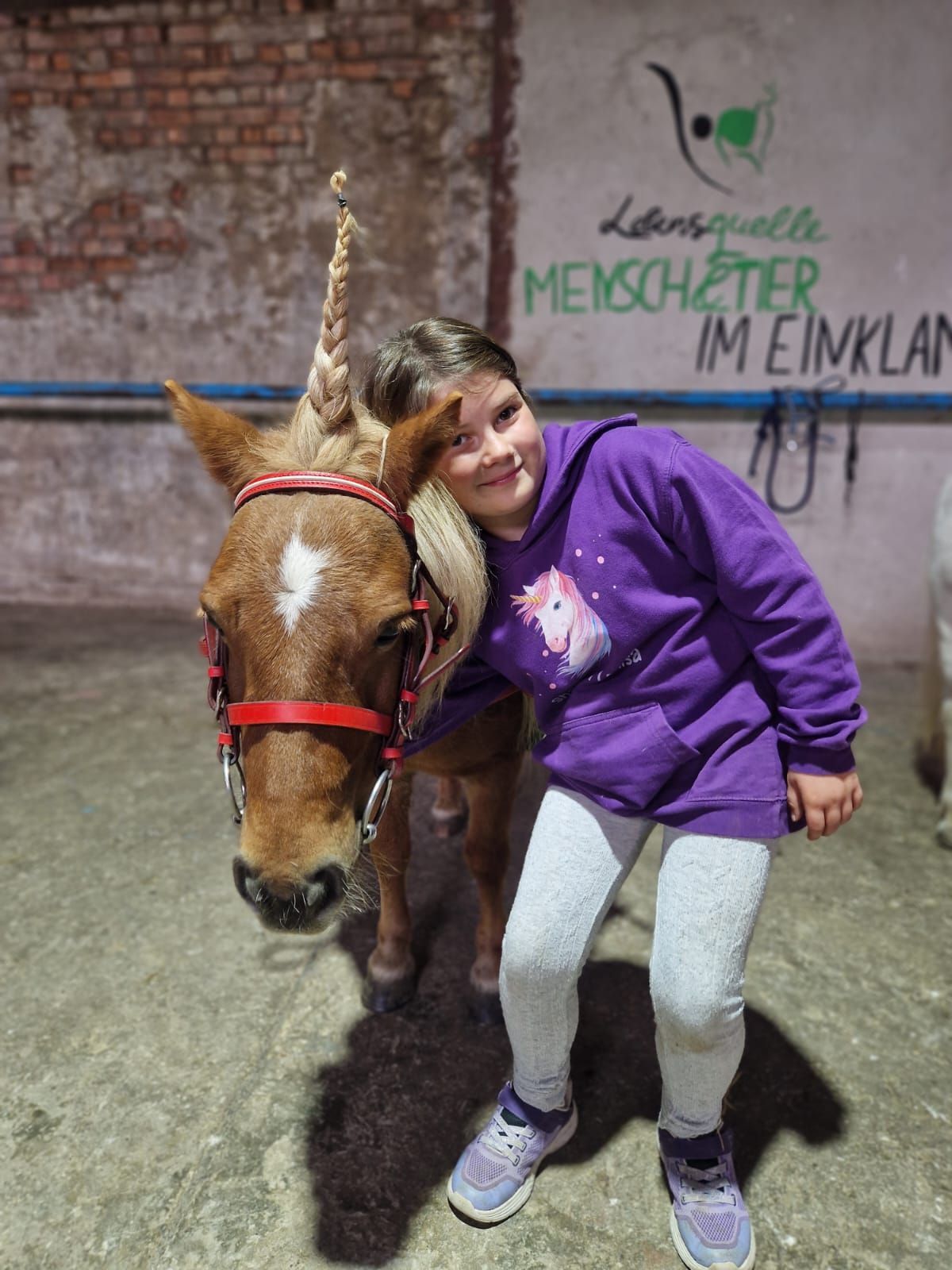 Ein junges Mädchen in einem lila Kapuzenpullover steht neben einem braunen Pferd.
