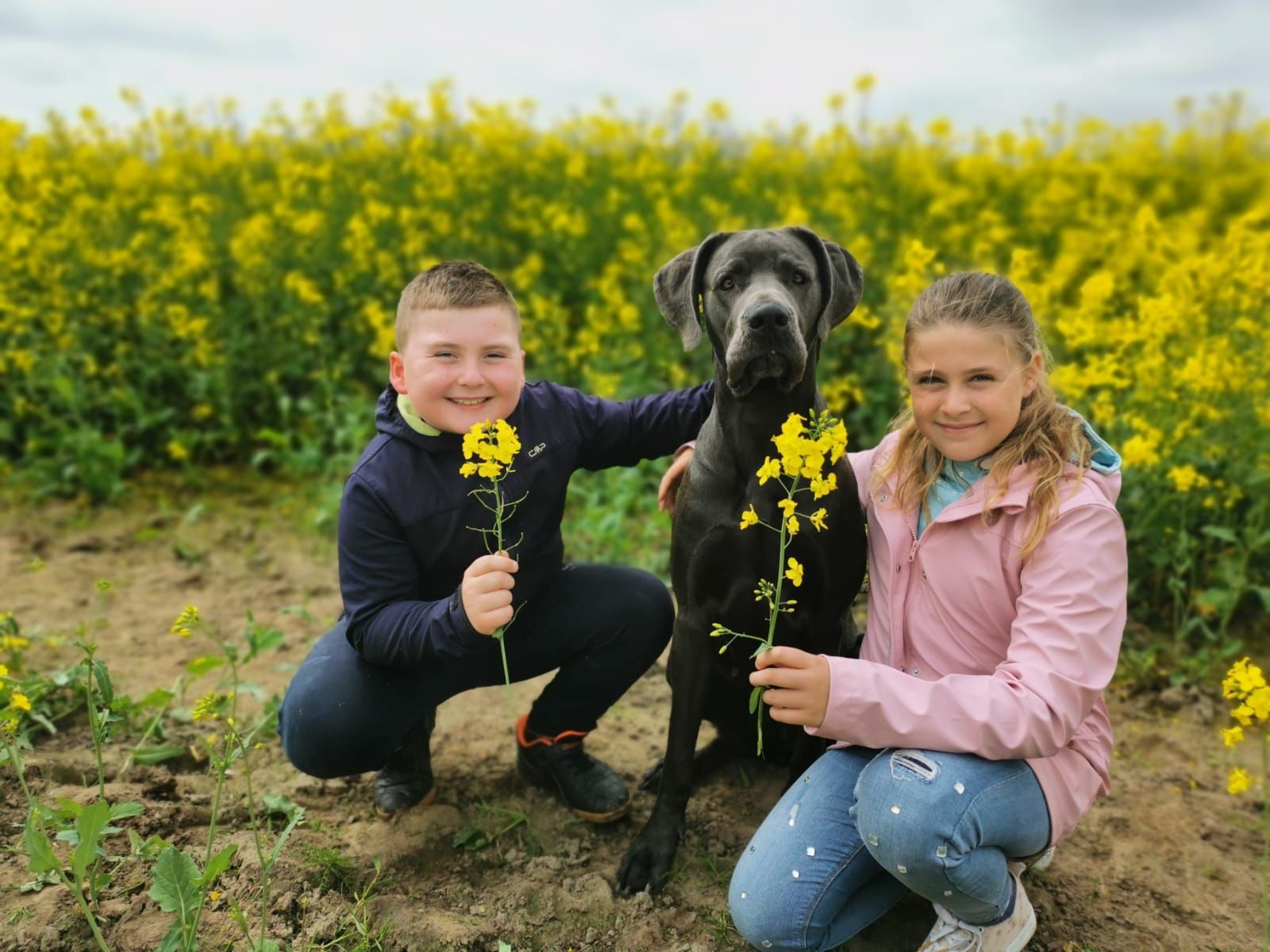 Ein Junge und ein Mädchen knien neben einem Hund auf einem Feld mit gelben Blumen.