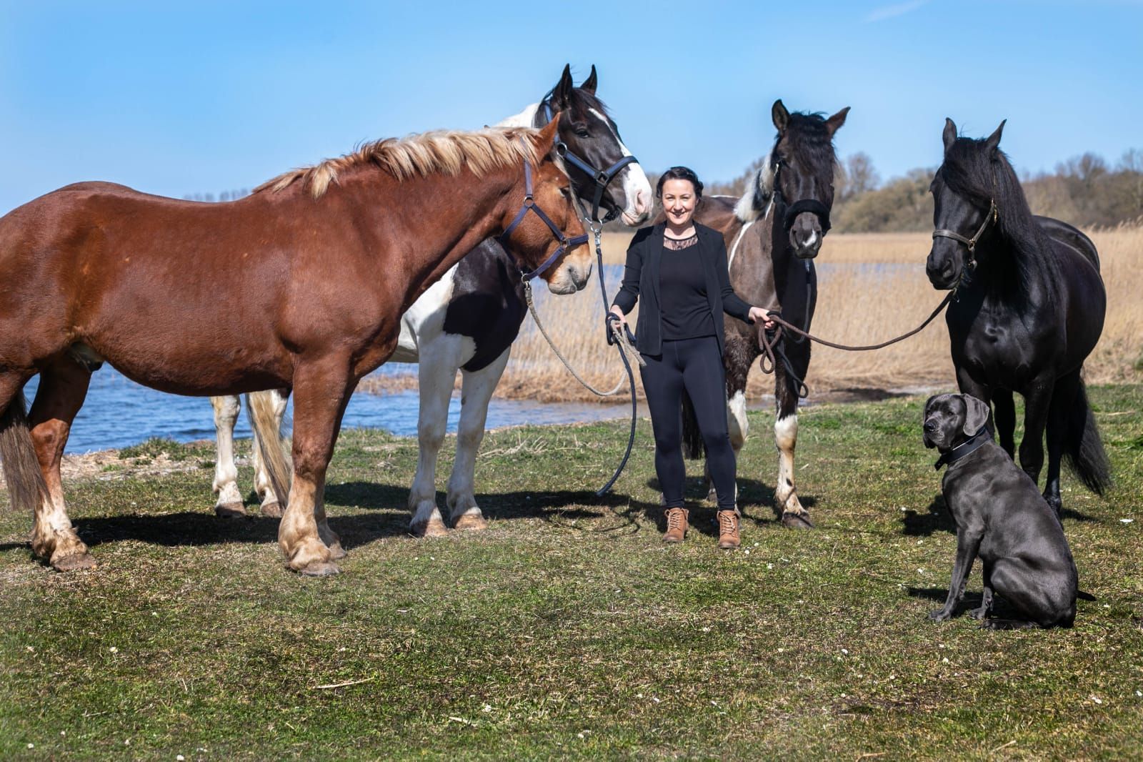 Eine Frau steht neben drei Pferden und einem Hund auf einer Weide.