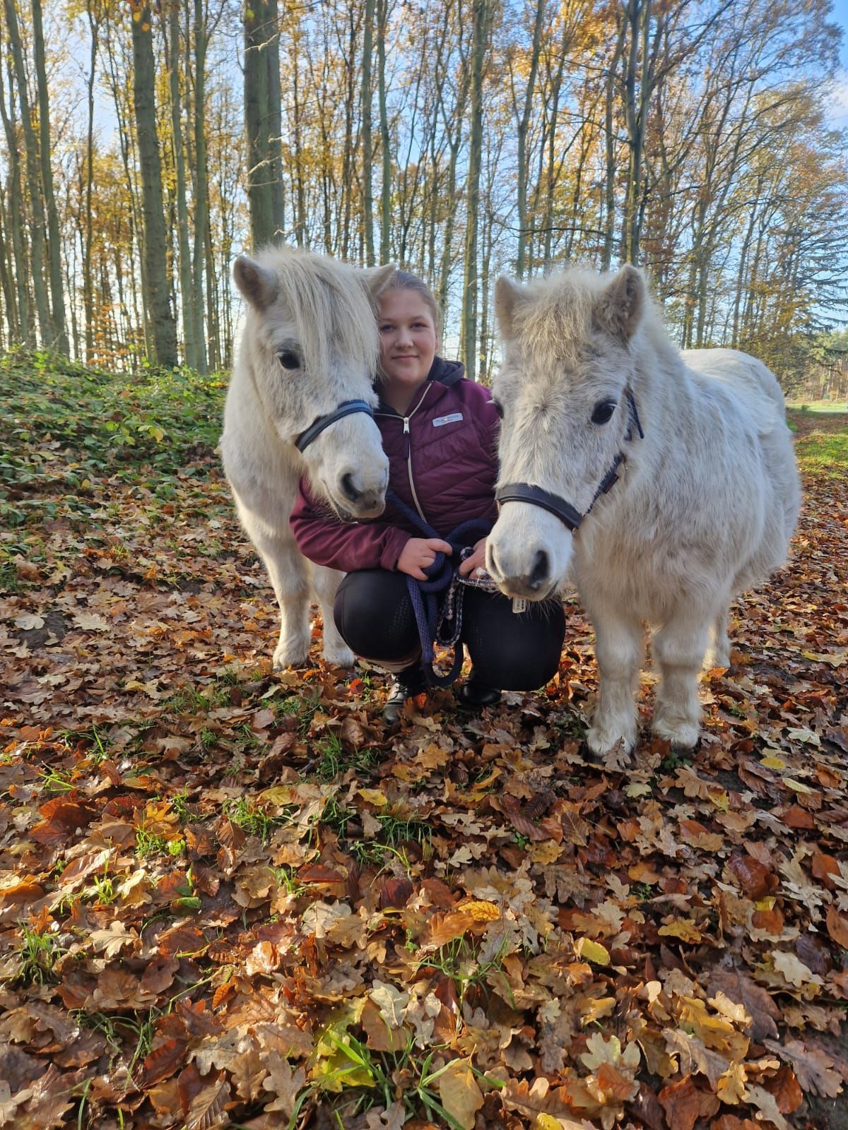 Eine Frau kniet neben zwei weißen Ponys im Wald.