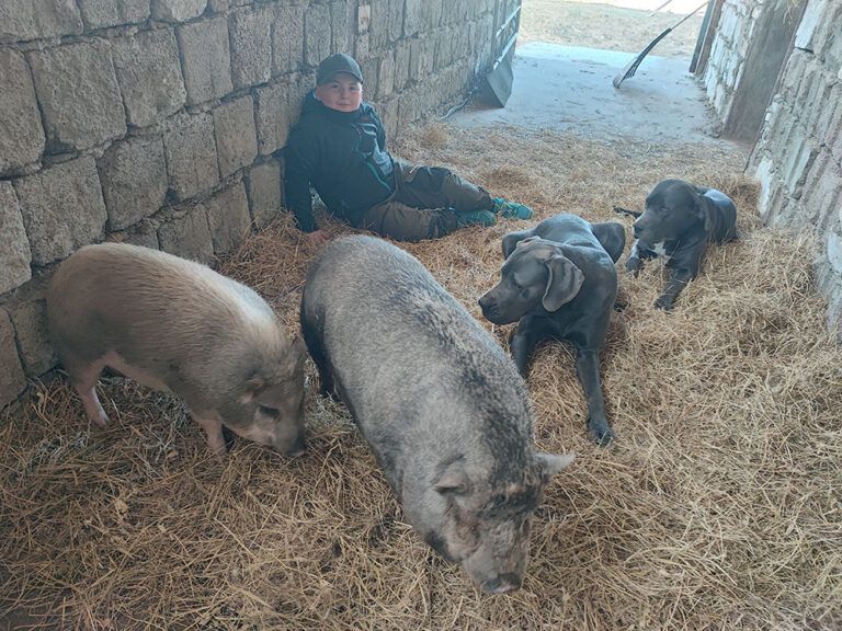 Ein Mann sitzt auf dem Boden, umgeben von Schweinen und einem Hund.