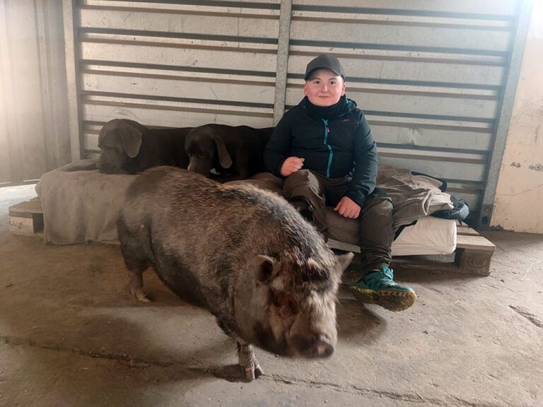 Ein Junge sitzt auf einer Palette neben einem Schwein und einem Hund.