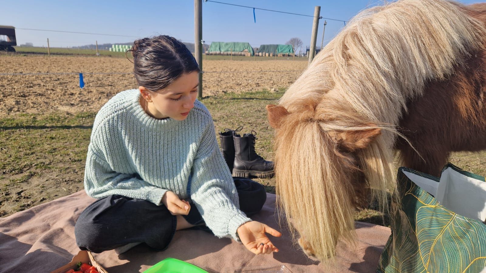 Eine Frau füttert ein Pony auf einer Weide.