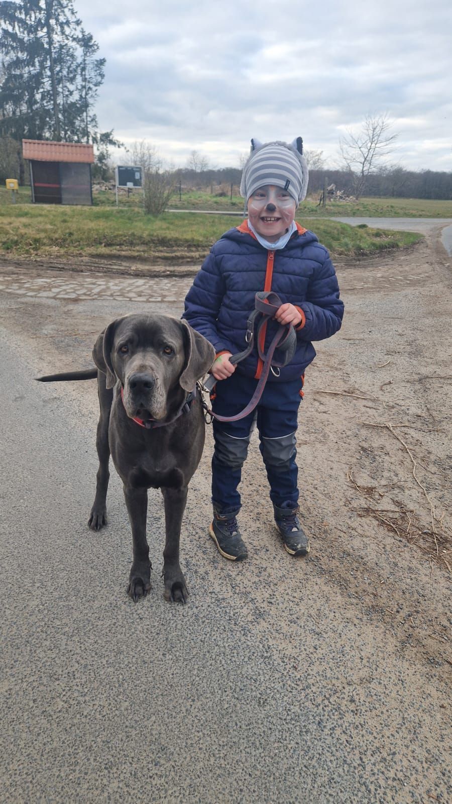 Ein kleiner Junge führt einen großen Hund an der Leine spazieren.