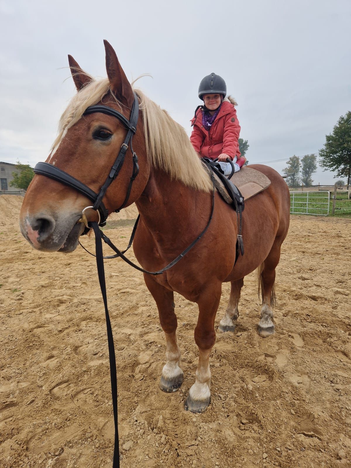 Eine Frau reitet auf einem braunen Pferd über ein Feld.