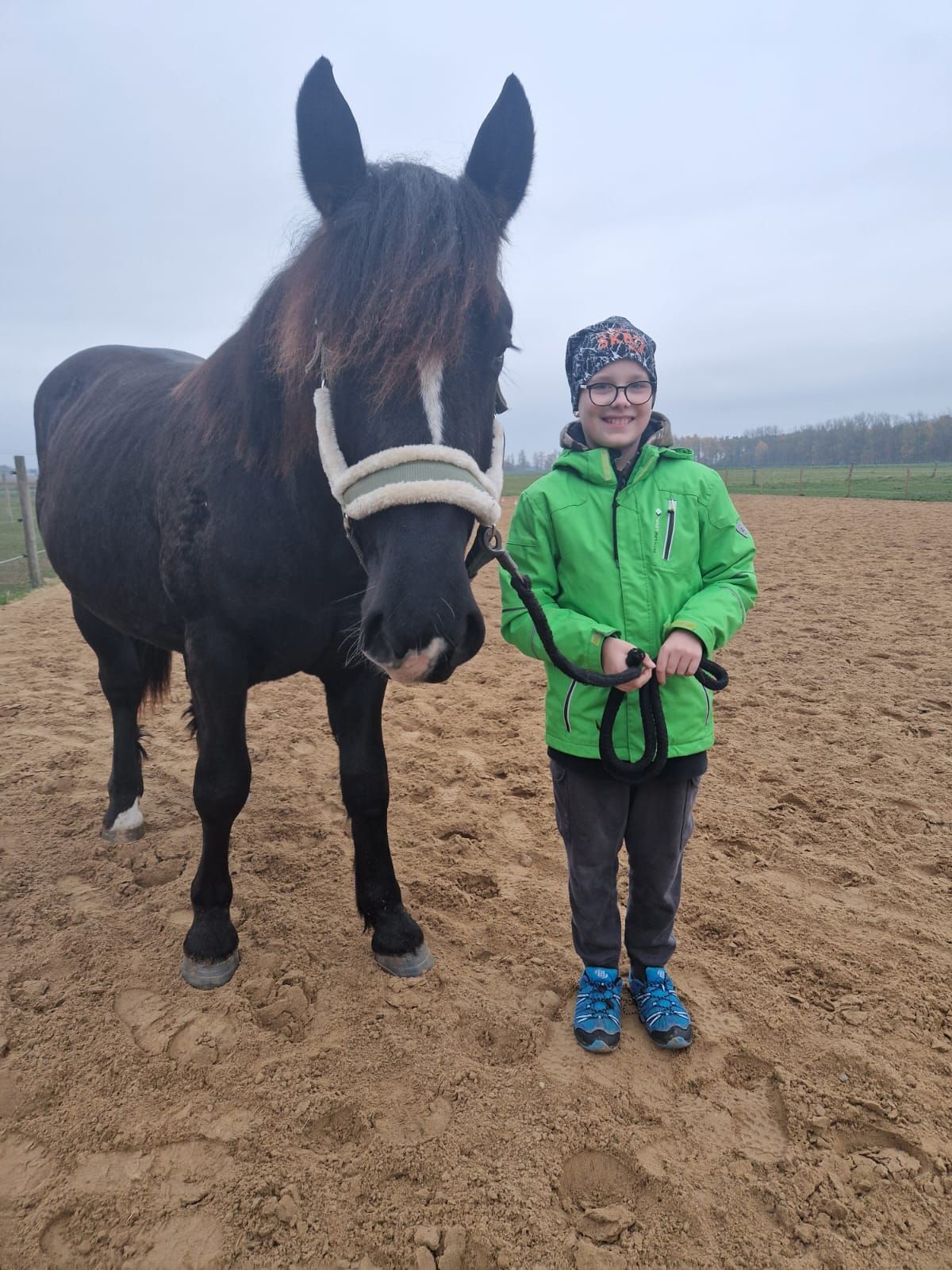 Ein kleiner Junge in einer grünen Jacke steht neben einem schwarzen Pferd.