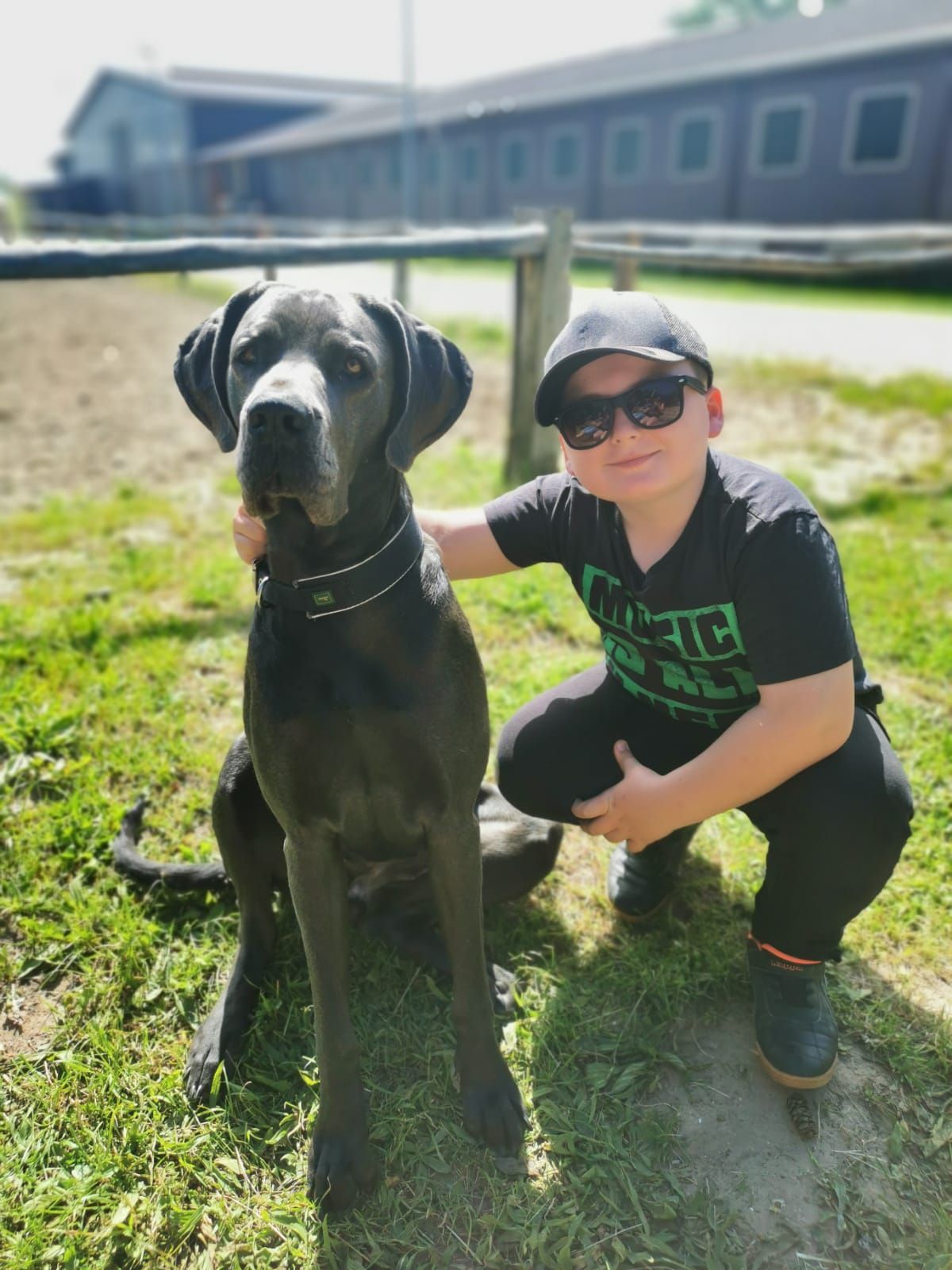 Ein Junge kniet neben einem großen schwarzen Hund