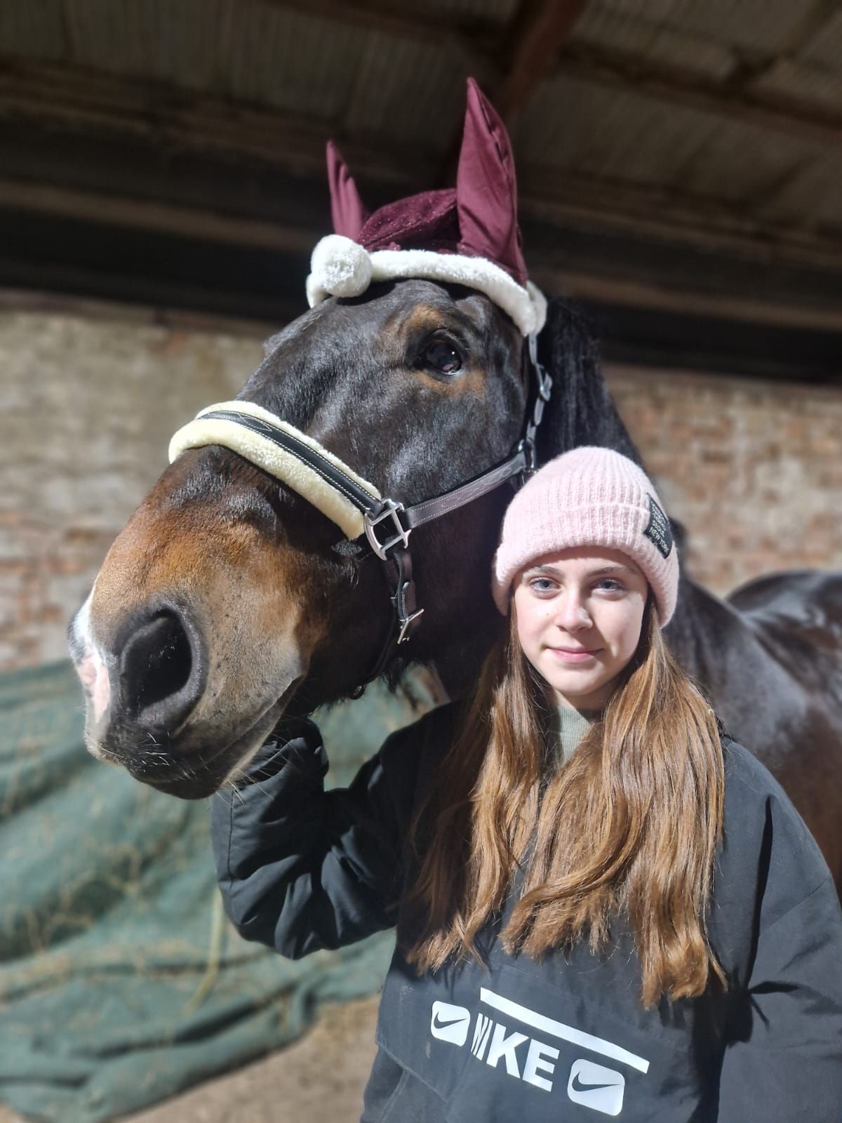 Ein Mädchen steht neben einem Pferd in einem Stall.