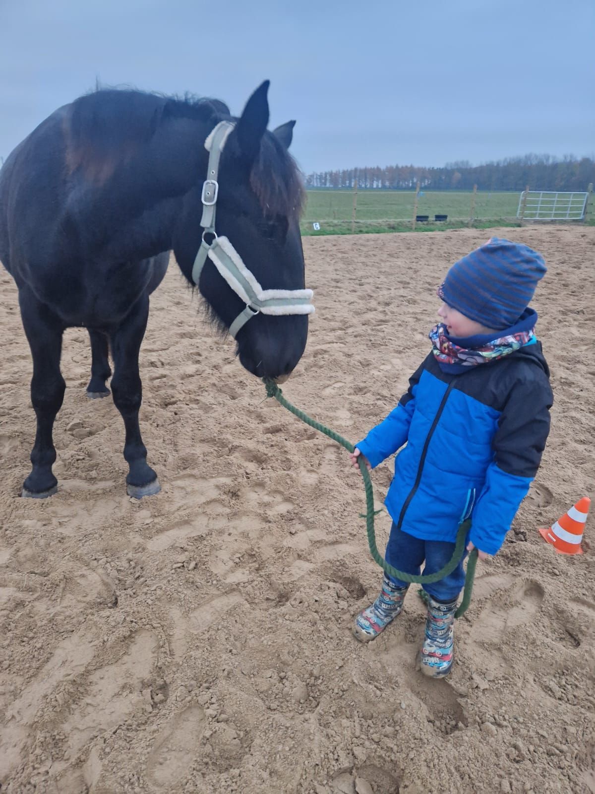 Ein kleiner Junge steht neben einem schwarzen Pferd im Sand.