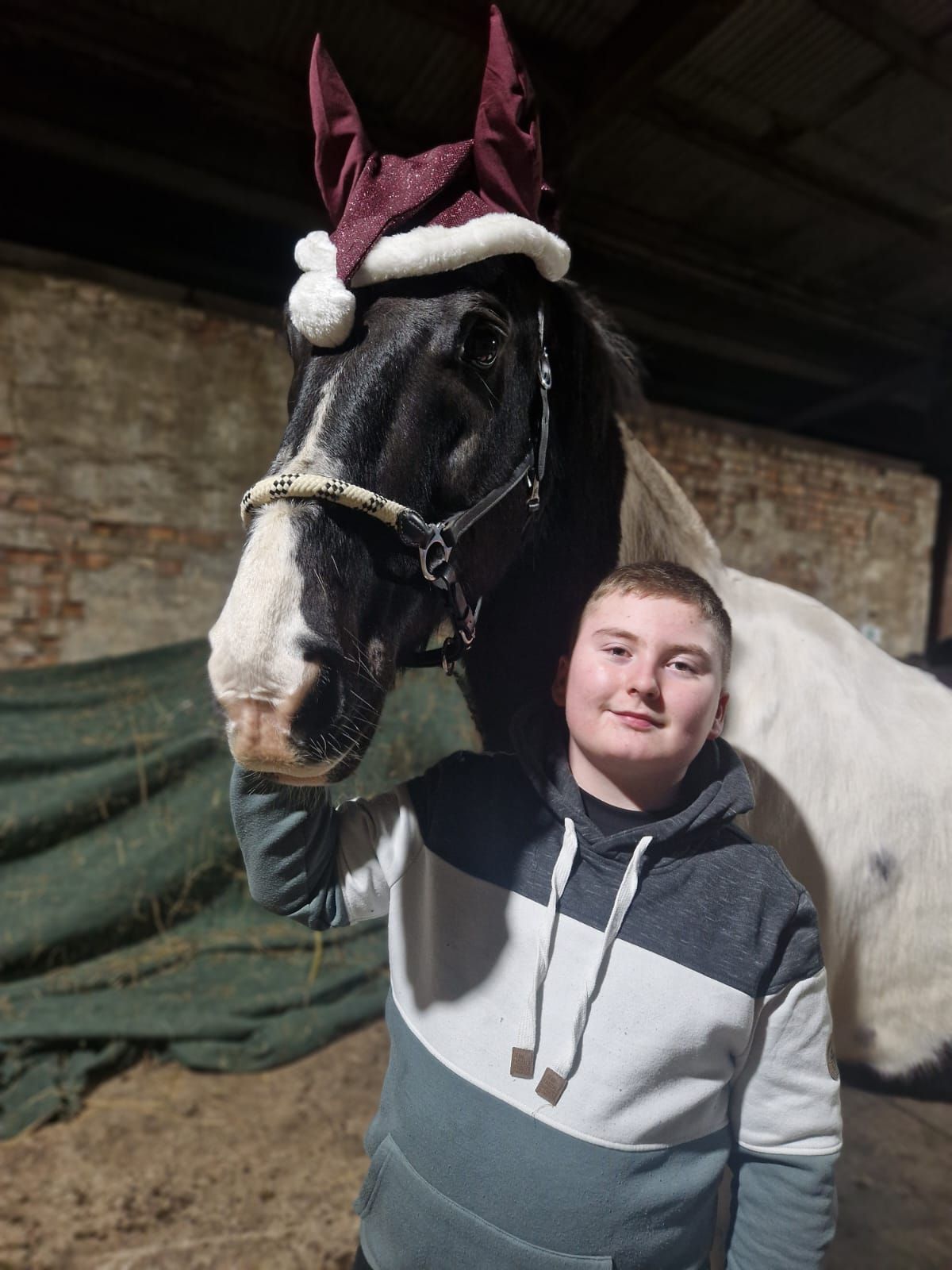 Ein junger Mann mit einer Weihnachtsmannmütze steht neben einem Pferd.