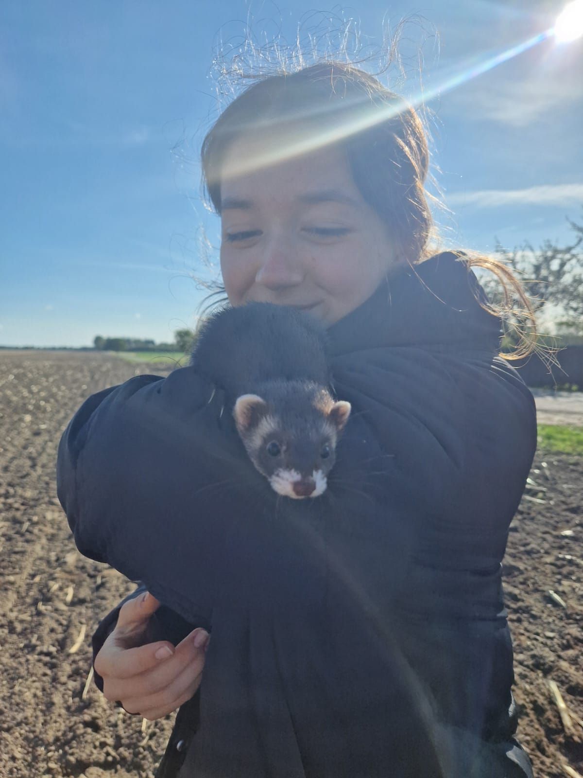 Eine Frau hält auf einem Feld ein Frettchen in ihren Armen.