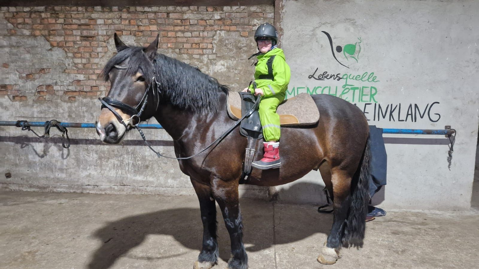 Ein kleines Mädchen reitet auf dem Rücken eines braunen Pferdes