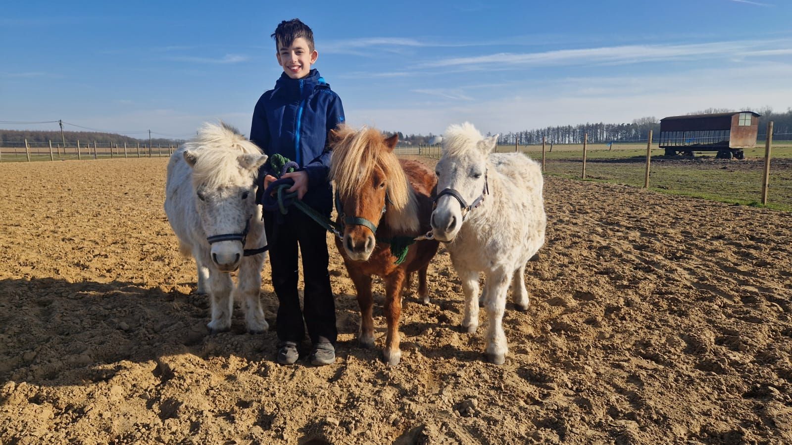 Ein kleiner Junge steht neben zwei Ponys auf einem Feld.
