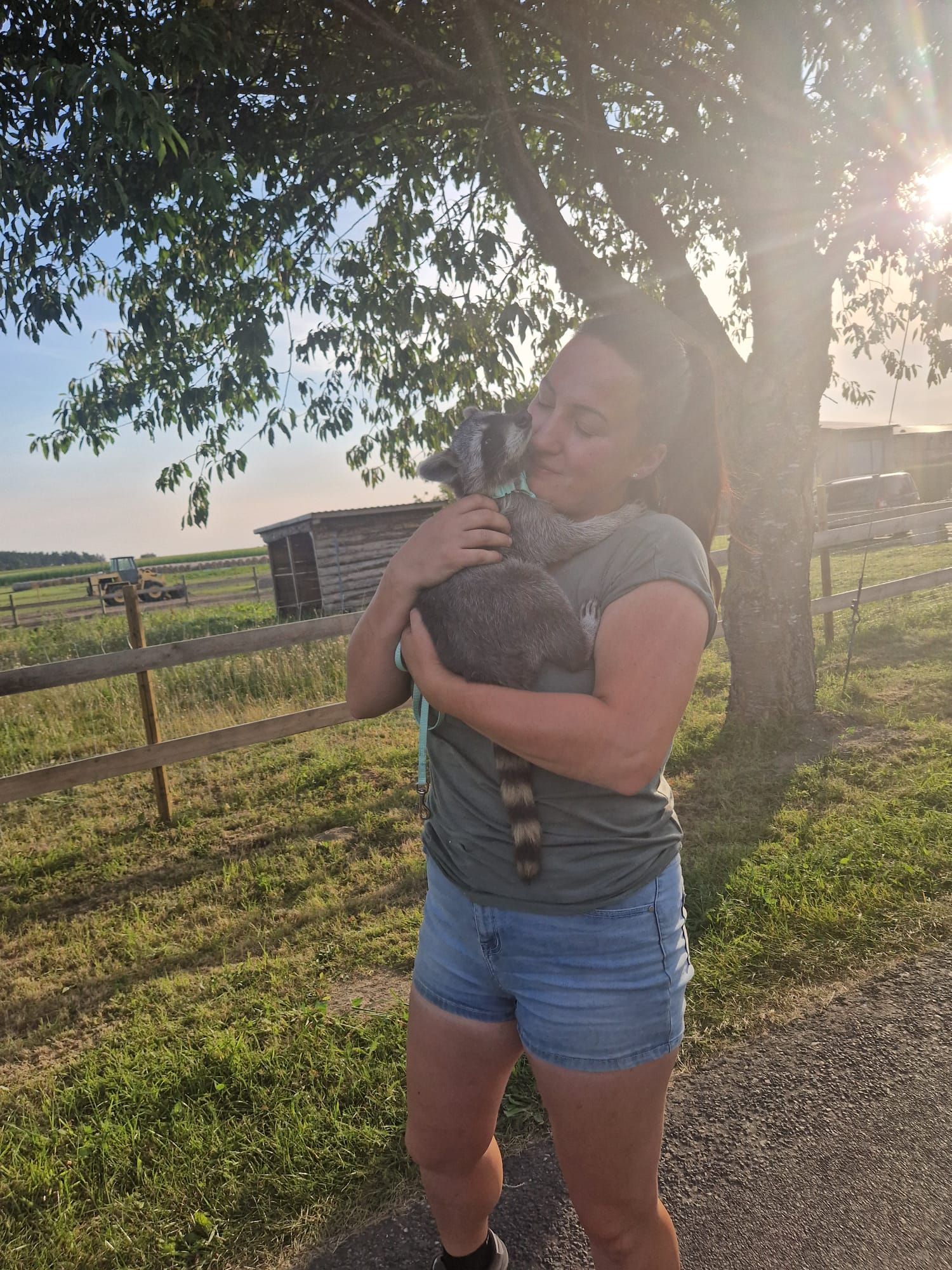 Eine Frau hält auf einem Feld ein Kaninchen in ihren Armen.