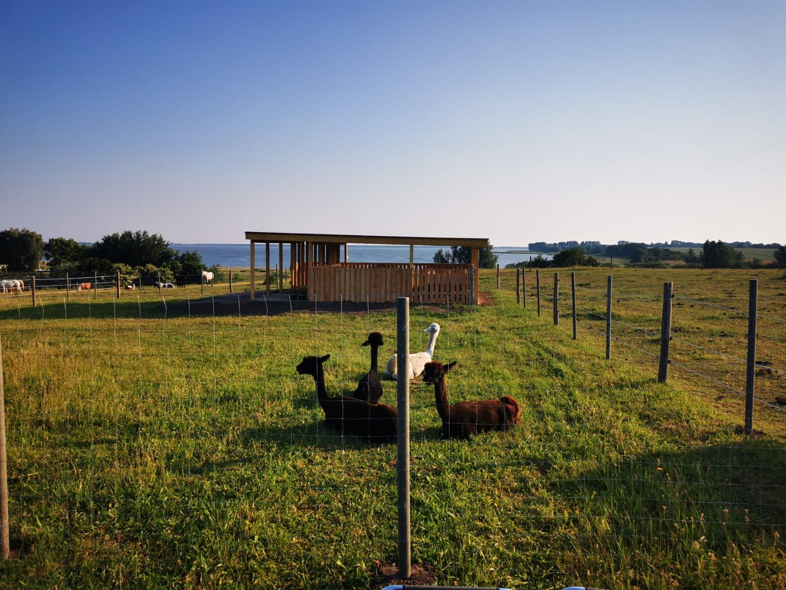 Ein eingezäuntes Feld mit einem Gebäude im Hintergrund