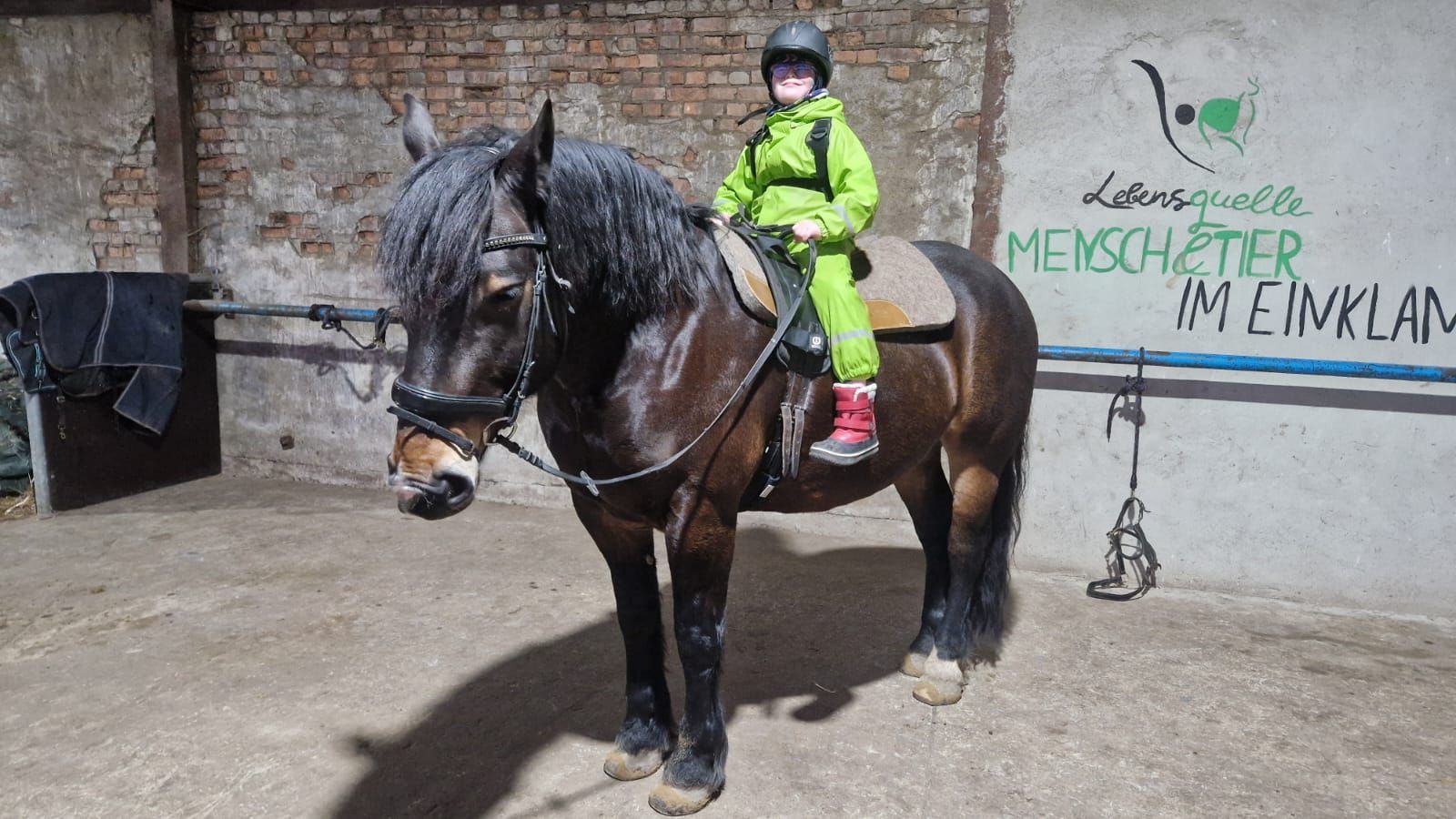 Ein Kind reitet auf einem Pferd vor einer Wand mit der Aufschrift „Menschtier im Klang“