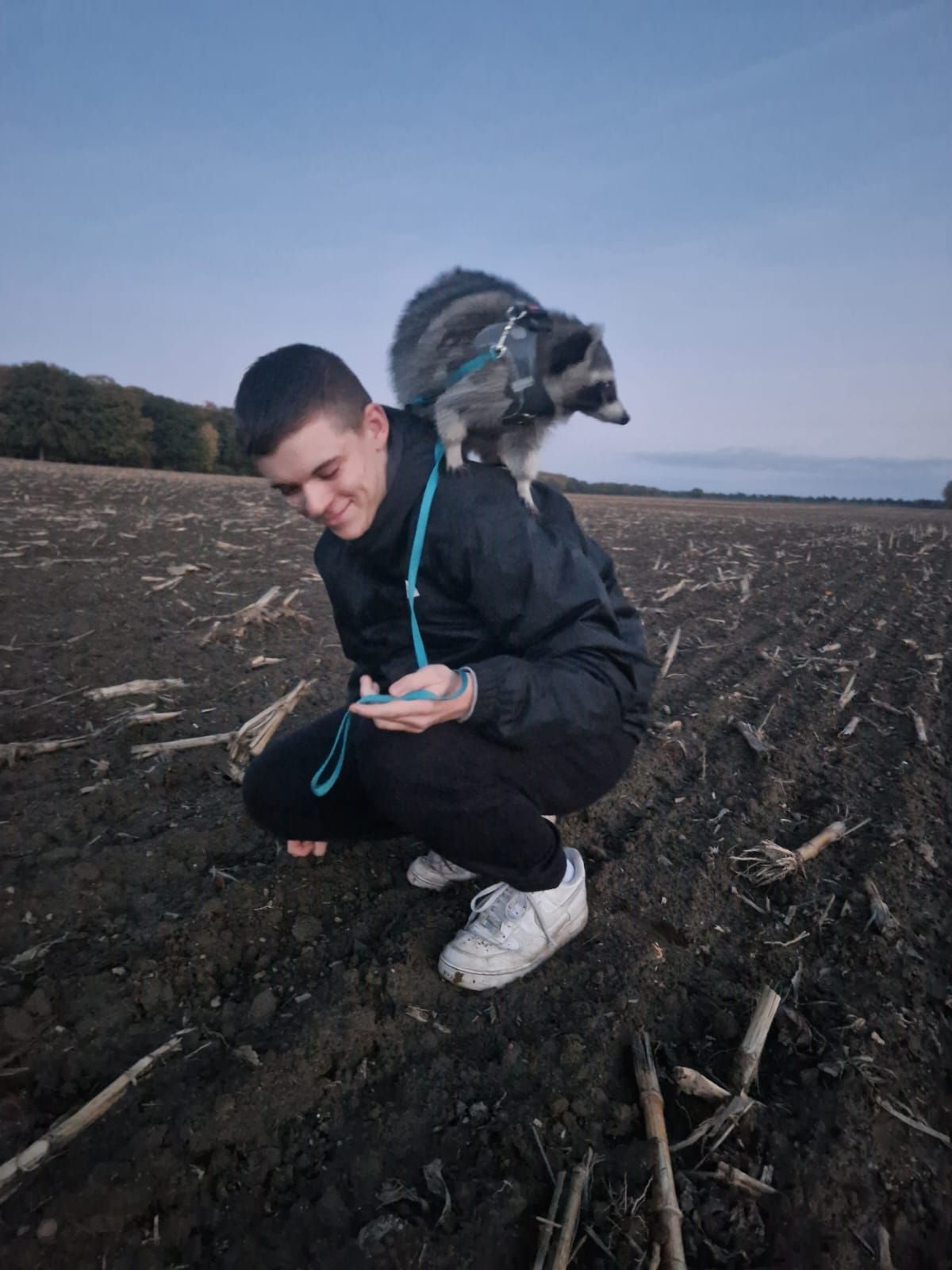Ein Mann kniet mit einem Waschbären auf seinem Rücken auf einem Feld.