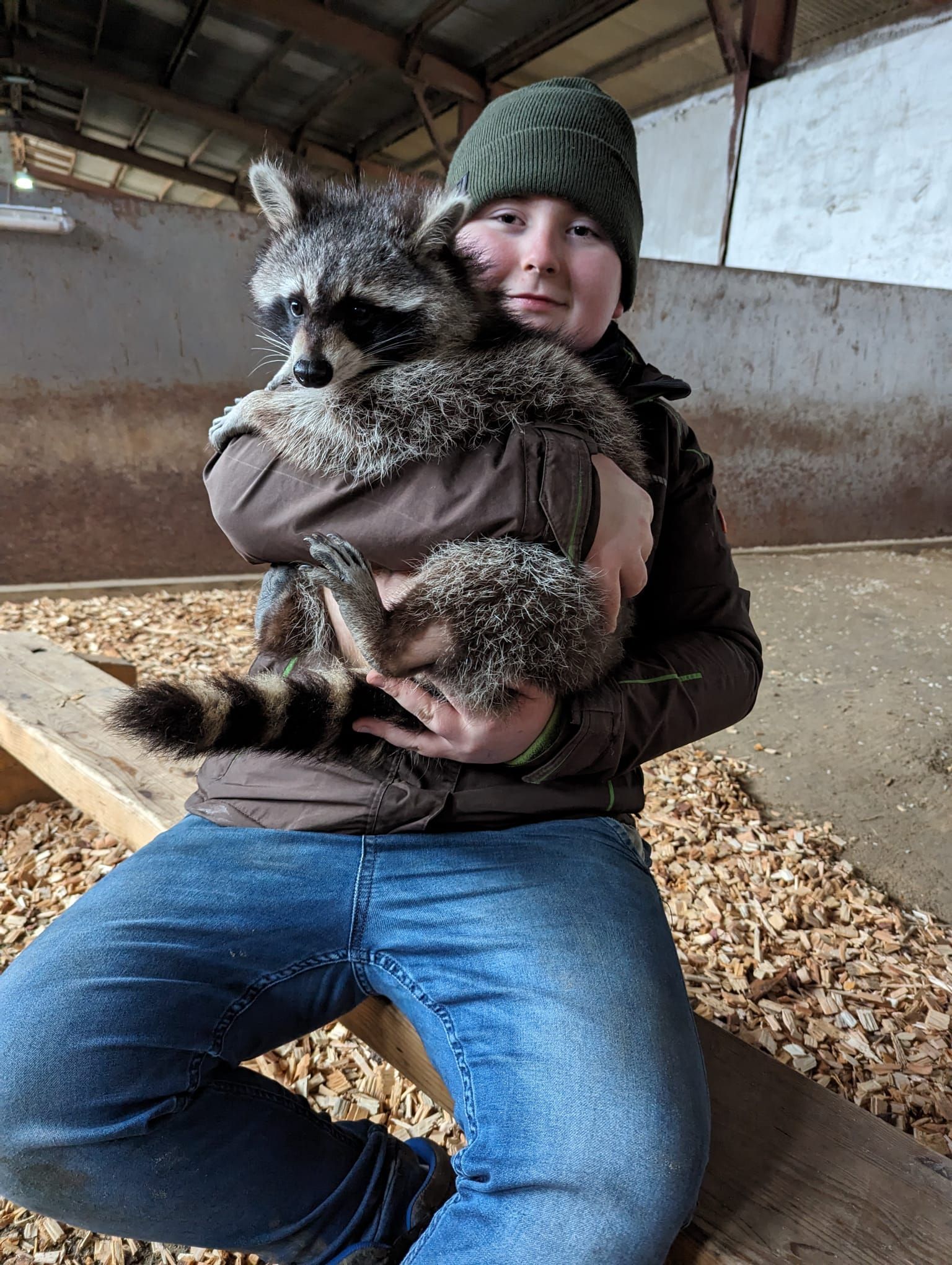 Ein kleiner Junge sitzt auf einer Bank und hält einen Waschbären in seinen Armen.