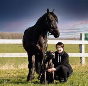 Eine Frau kniet neben einem Pferd und einem Hund