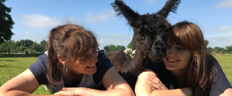Zwei Frauen umarmen auf einem Feld ein schwarzes Lama.
