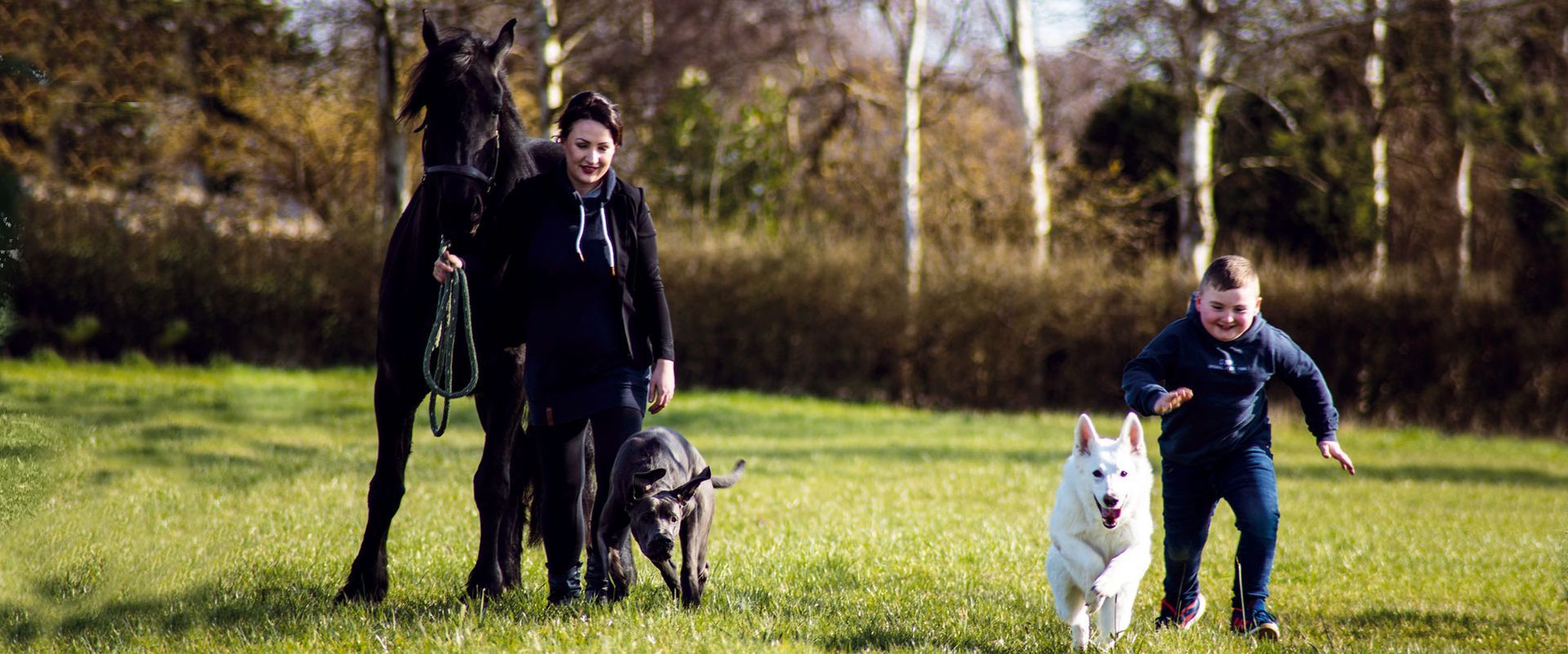 Eine Frau steht neben einem Pferd und zwei Hunden auf einer Weide.