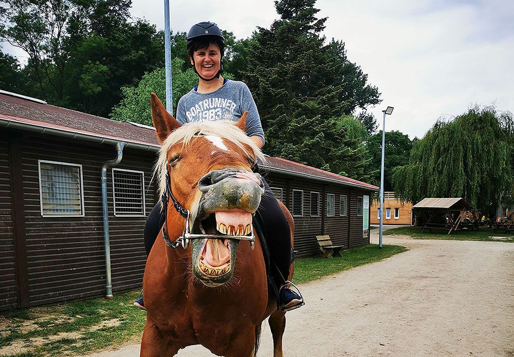 Eine Frau reitet auf dem Rücken eines braunen Pferdes.