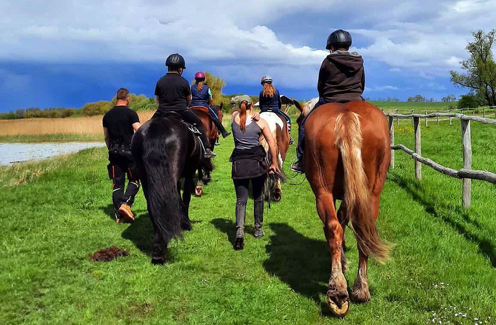 Eine Gruppe von Menschen reitet auf einem Feld.