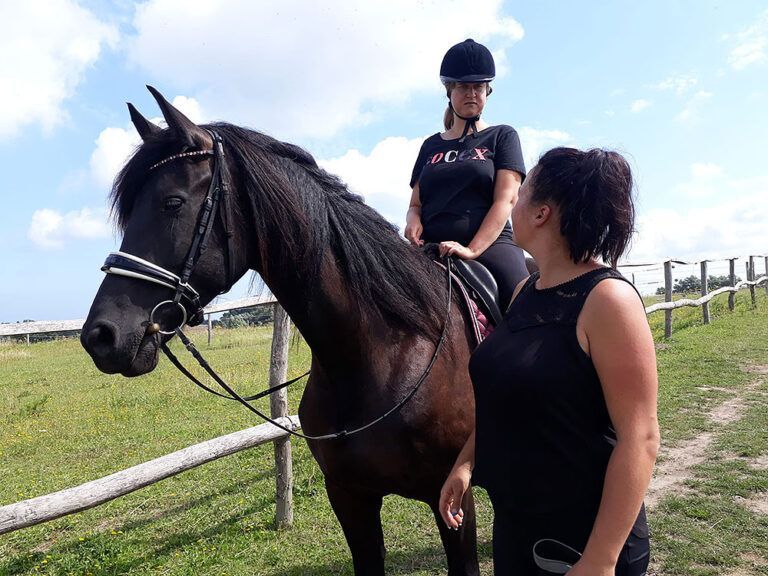 Zwei Frauen stehen neben einem schwarzen Pferd auf einer Weide.