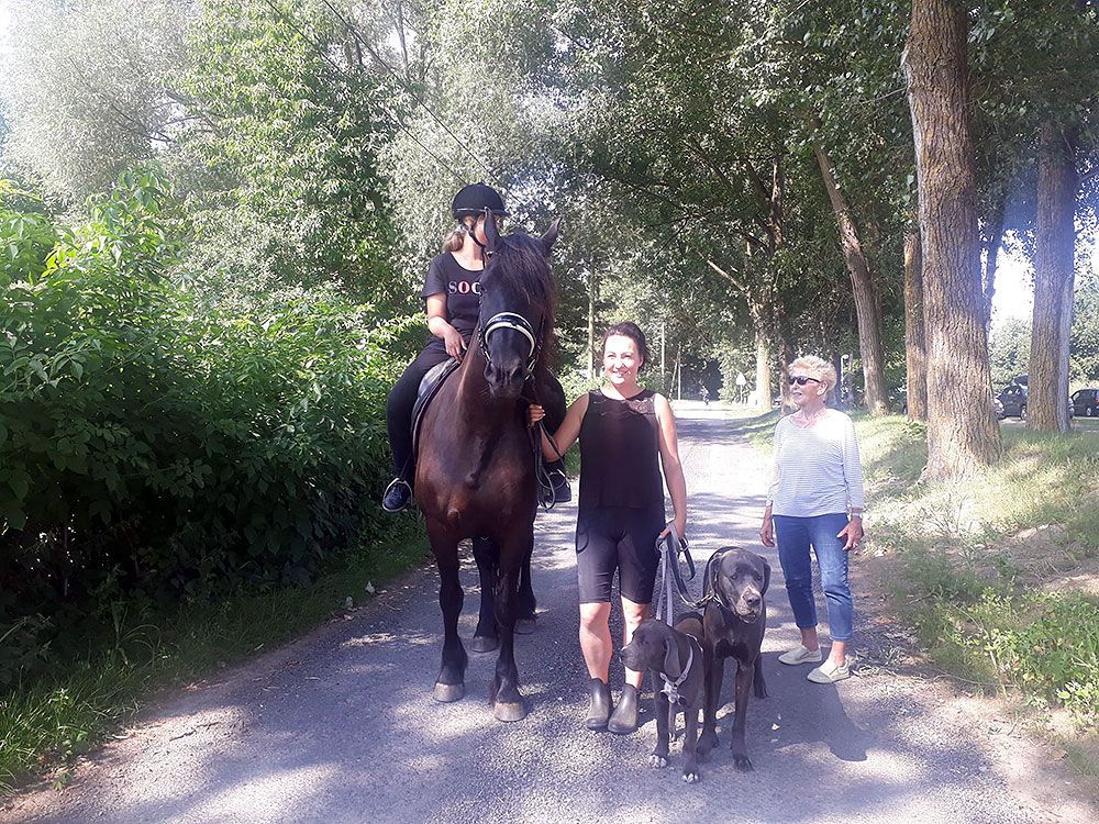 Eine Frau reitet mit zwei anderen Frauen und einem Hund auf einem Pferd einen Feldweg entlang.