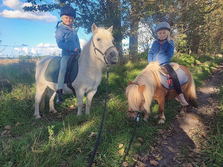 Zwei Kinder reiten auf Ponys auf einer Weide.