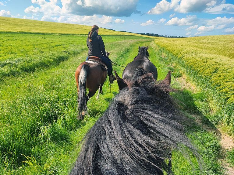 Eine Frau reitet auf einem Pferd auf einer Wiese.