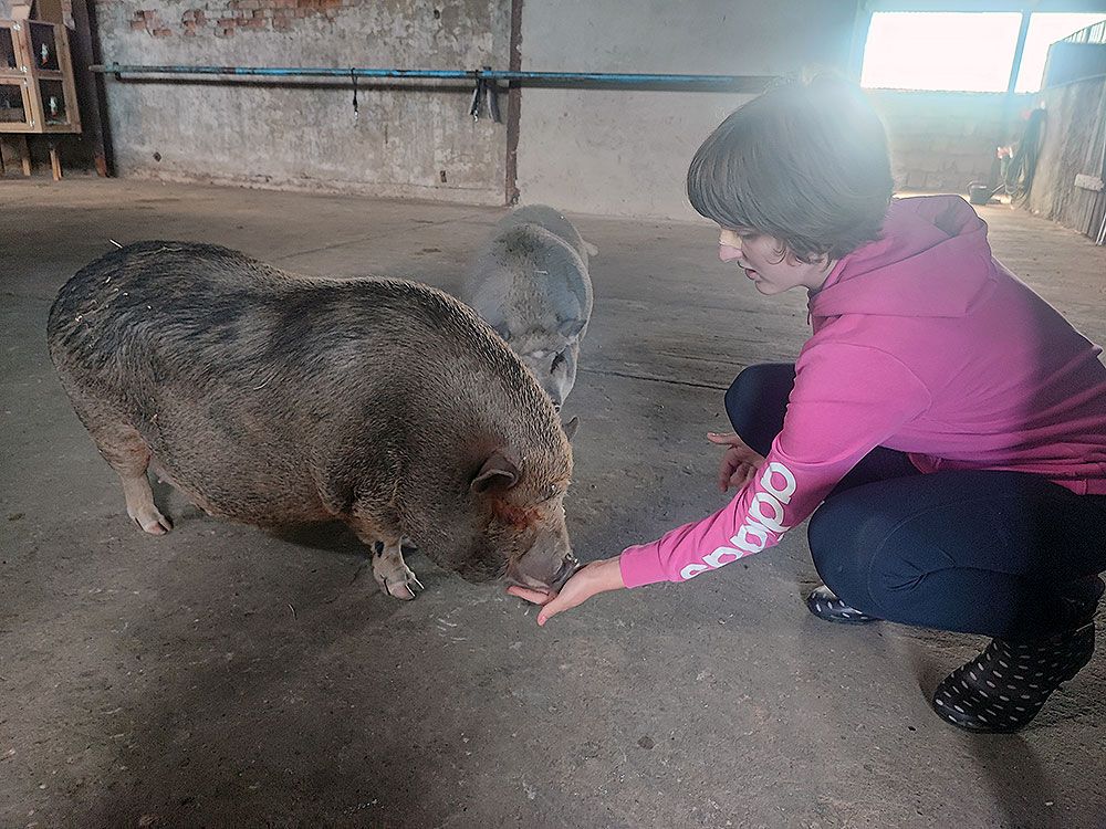 Eine Frau kniet neben zwei Schweinen in einem Stall.