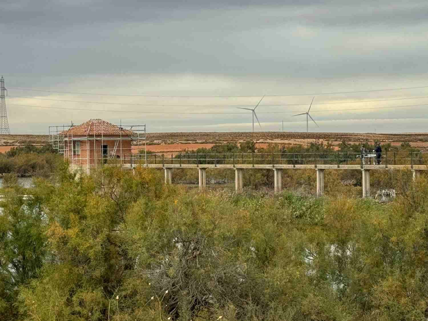 Paisaje rural con arbustos, un pequeño edificio, líneas eléctricas y turbinas eólicas bajo un cielo nublado
