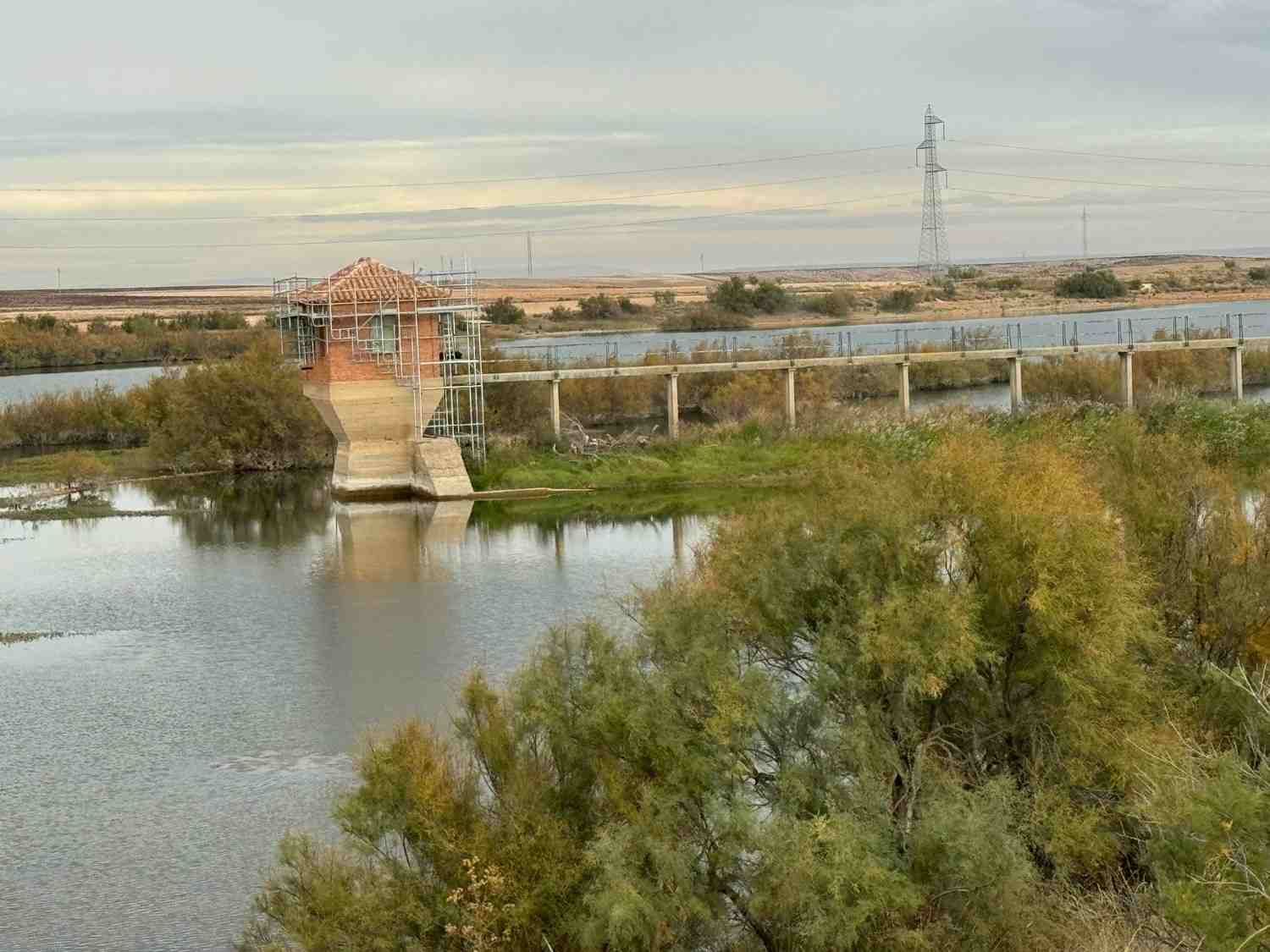 Un puente sobre aguas tranquilas en un paisaje pantanoso, con árboles y líneas eléctricas bajo un cielo nublado