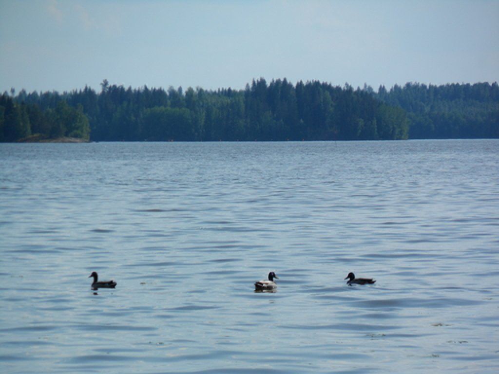 Ulasen tilan ympäristö