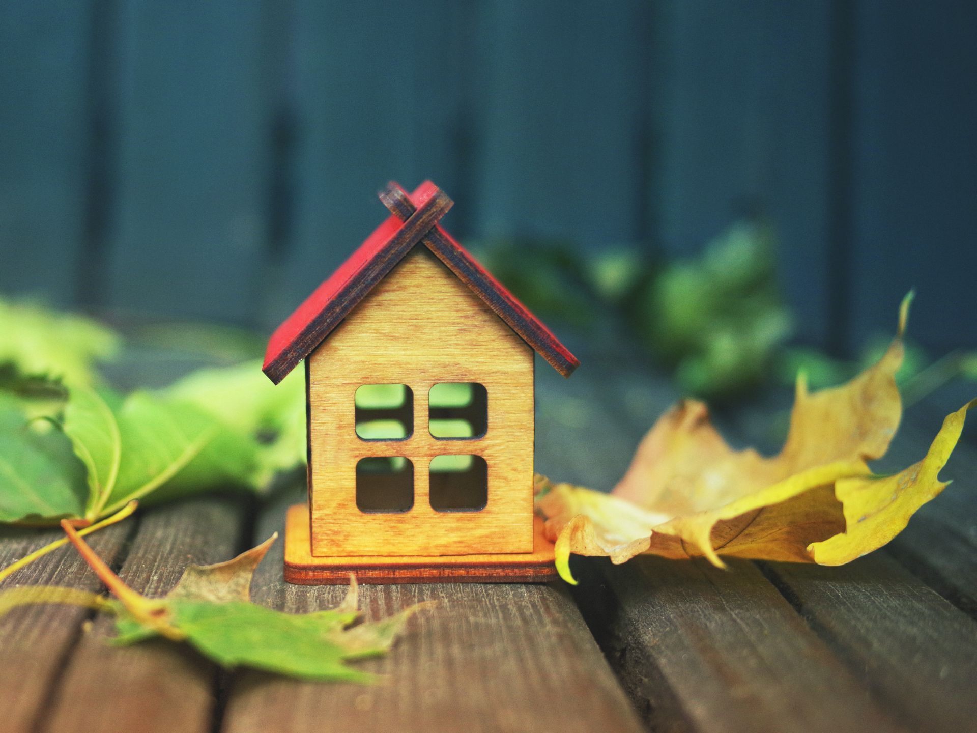 Une petite maison en bois posée sur une terrasse et entourée de feuilles