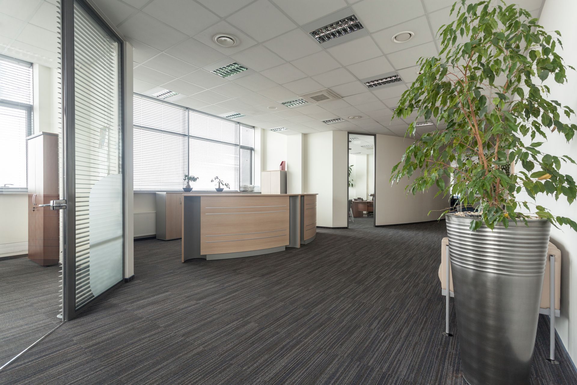 Un bureau avec des cloisons vitrées et de la moquette