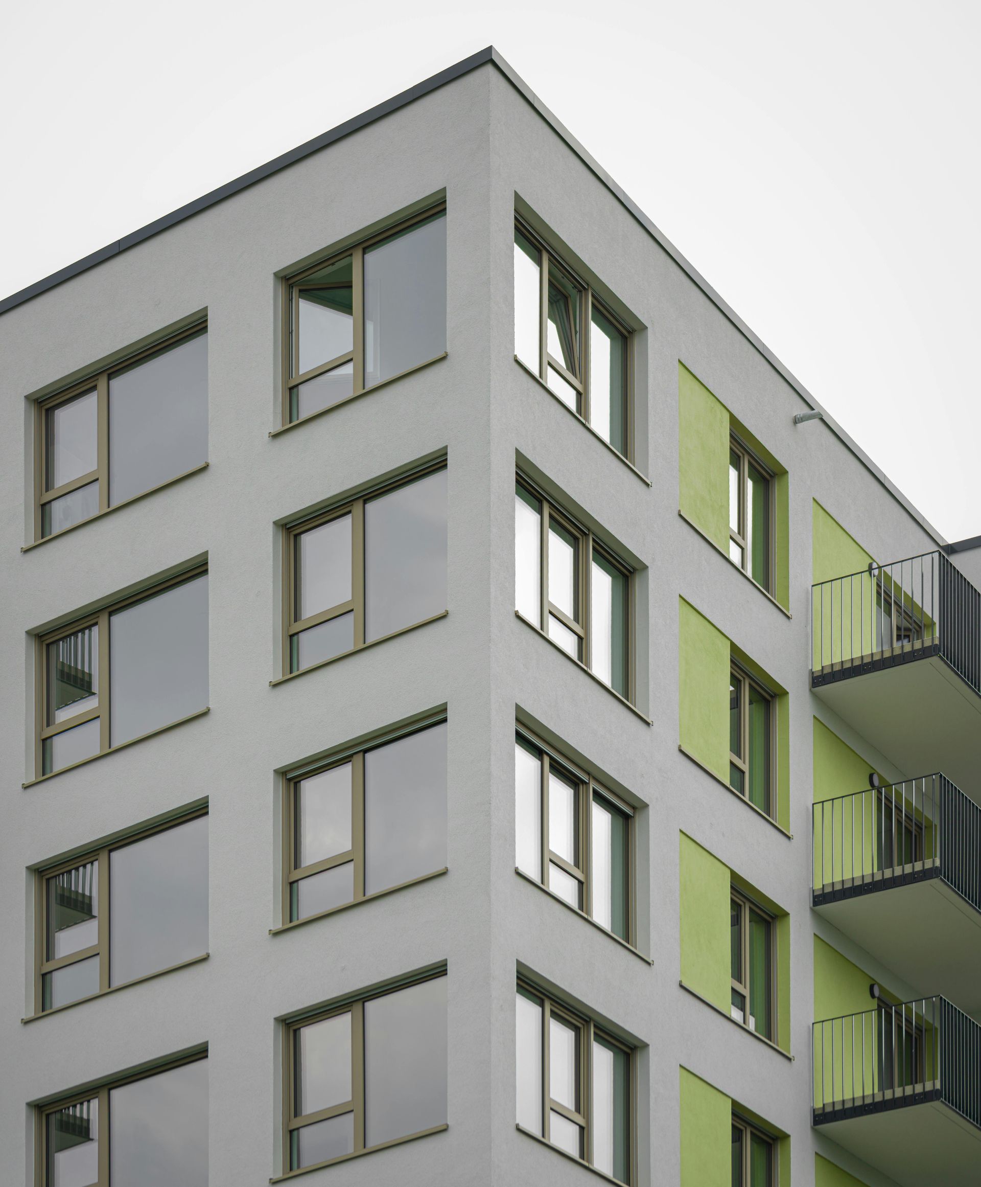 Moderni märkätilasaneeraus, jossa yhdistyvät vaaleat laatat, tyylikäs valaistus ja uusi sauna.