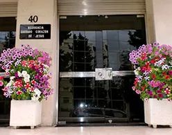 Dos flores en macetas están sentadas frente a un edificio.