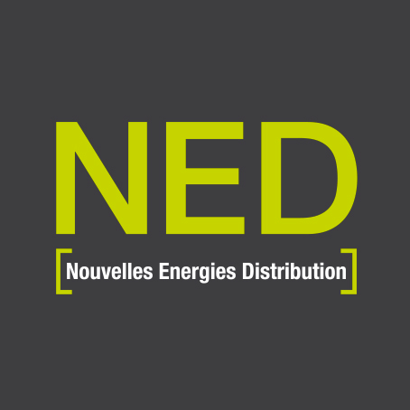 Logo NED