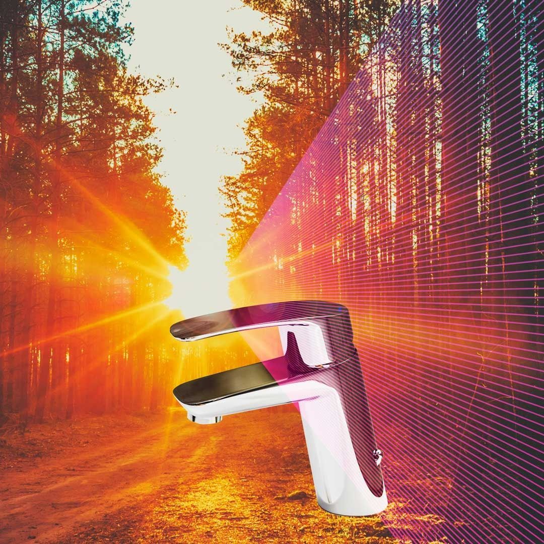 Un grifo frente a un bosque con el sol brillando a través de los árboles.