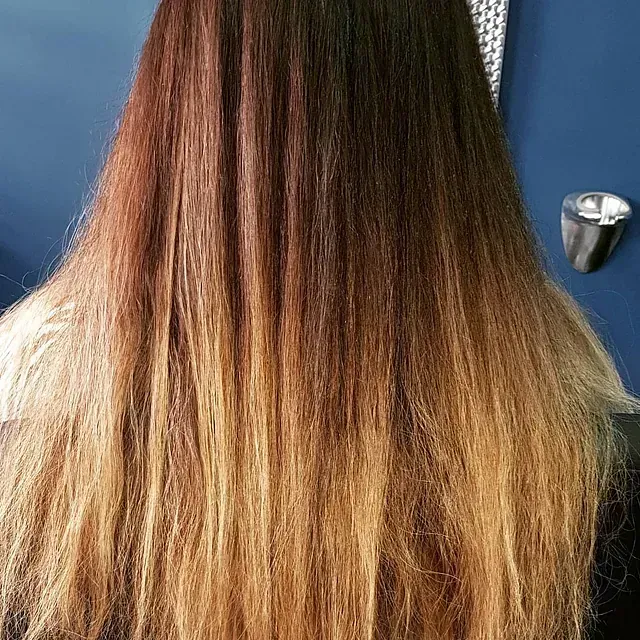 La parte posterior de la cabeza de una mujer con cabello largo.