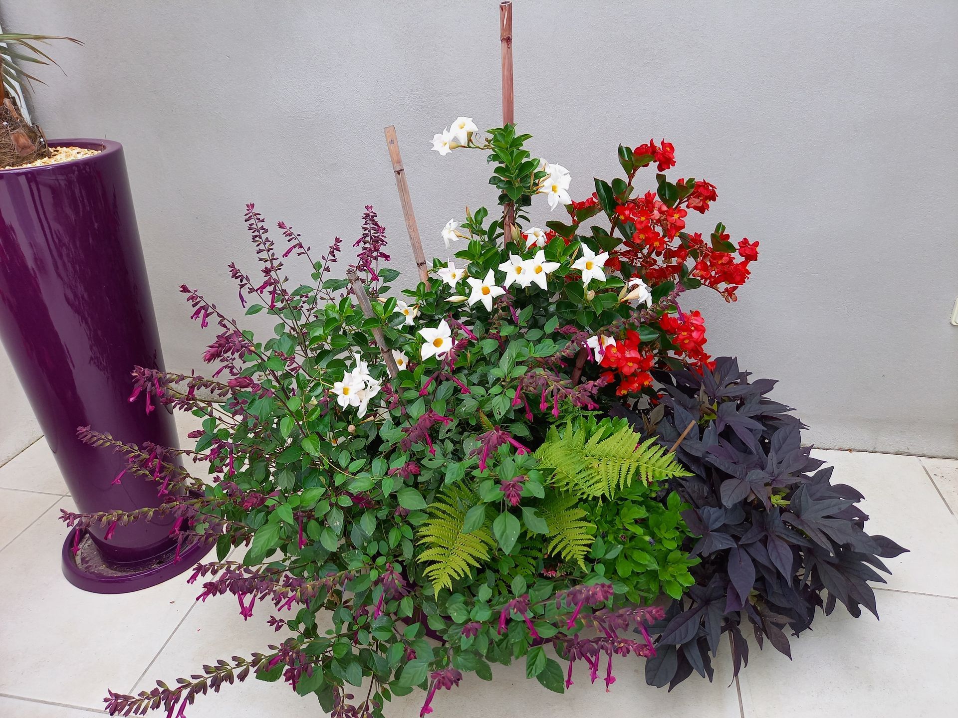 Composition plantes fleuries