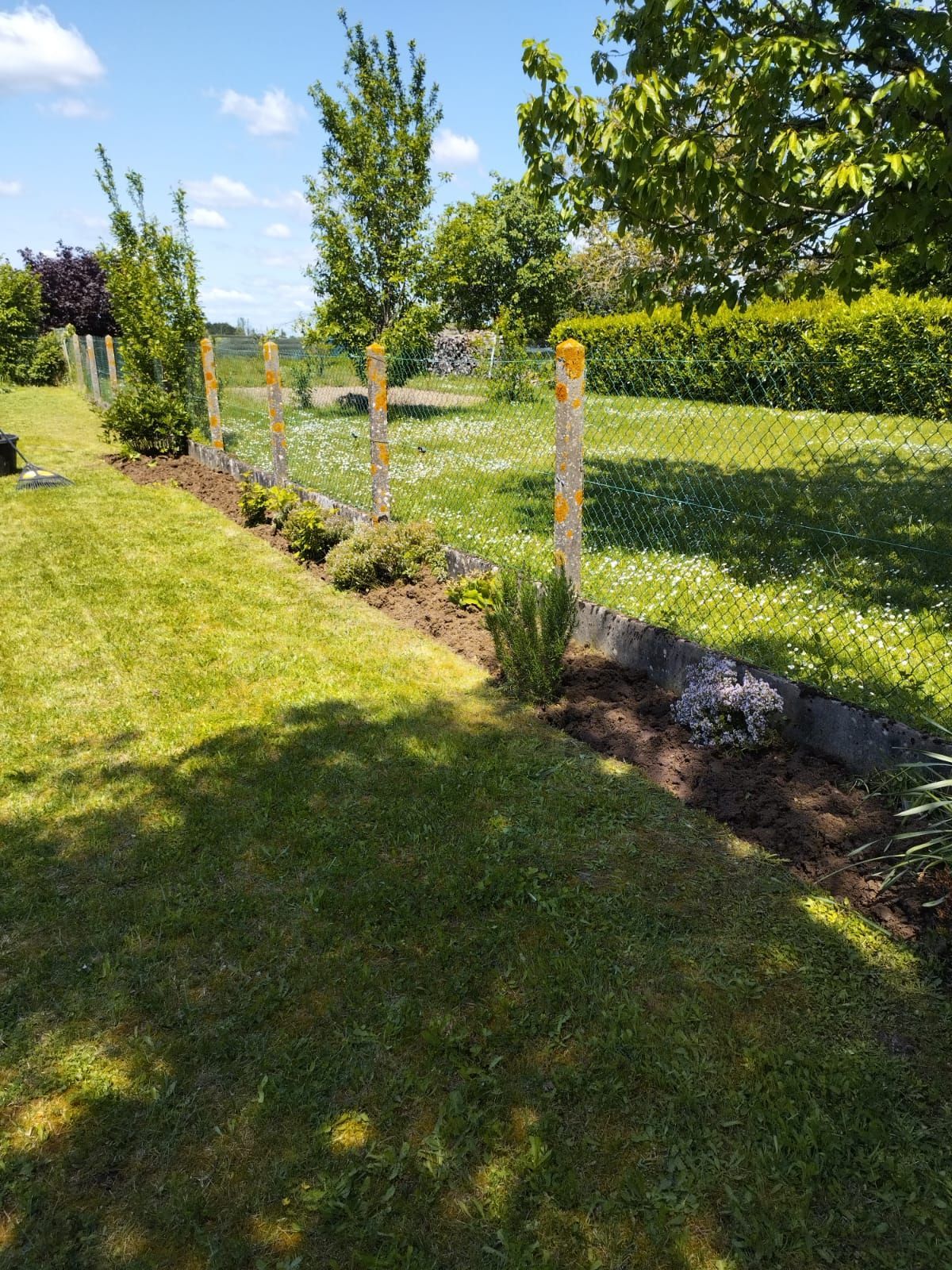 Un jardinier qui plante un arbre